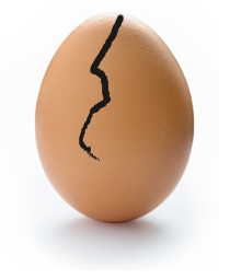 egg-q2 Cracked